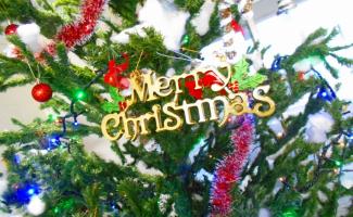 MerryChristmas✩