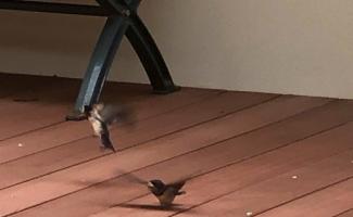 飛ぶ、練習中