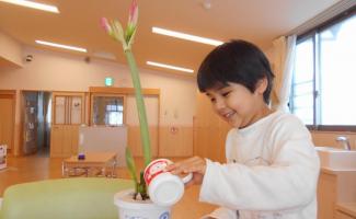 はやくお花が咲きますように✿