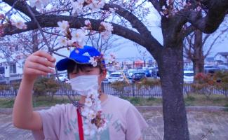 桜の木の下で♪