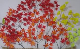 華麗な紅葉🍁　きれいですね☺