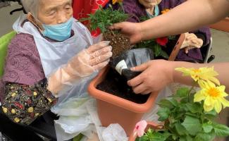 職員と一緒に花を植え！