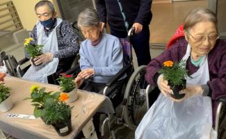 綺麗なお花ですよね(*´▽｀*)
