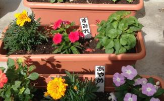素敵なお花！！　元気に育つように!(^^)!.