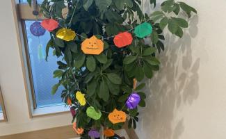 植木もハロウィンに★