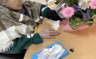 綺麗なお花ですね。