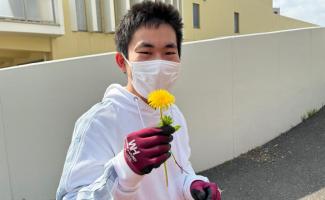 大きいたんぽぽ！