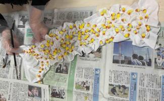 絞り染めで色づけしてます