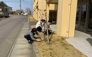 芝生の間から雑草が生えています！