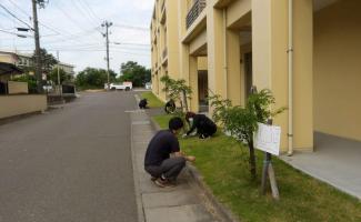 暑いけど、がんばっています