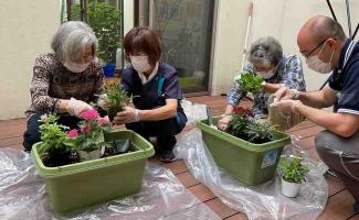 どこに植えようかな