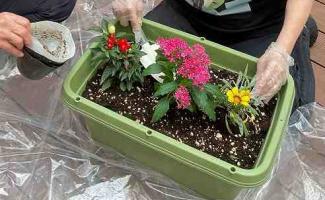 色とりどりのお花がきれいです。