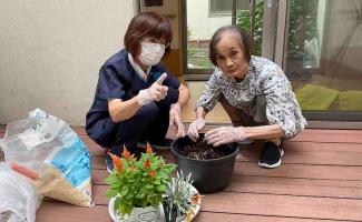どのお花を植えましょうか。