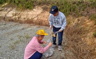 ここにもあったよ👍