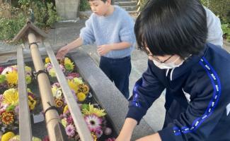 神社でみつけたキレイな手水舎🌸