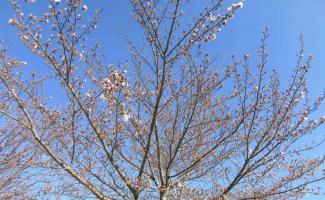 青空をバックに♪